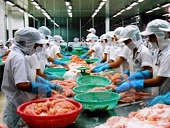 17 cơ sở chế biến thủy sản được xuất khẩu vào Panama