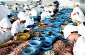7 tháng đầu năm: Xuất khẩu của Việt Nam sang Algeria giảm 2%