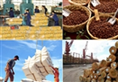 Trao đổi thương mại Việt Nam-Nam Phi 6 tháng đầu năm 2016