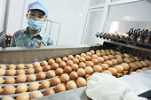  Xuất nhập khẩu nông sản chủ lực sẽ thế nào khi hội nhập sâu AEC?