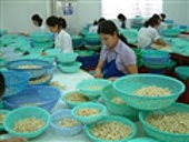 Thổ Nhĩ Kỳ bắt đầu nhập khẩu hạt điều từ Trung Quốc, nhập khẩu từ Việt Nam giảm