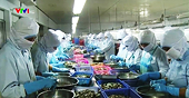 Xuất khẩu thủy sản năm 2016 ước đạt 8 tỷ USD