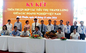 Kích cầu nội địa, mở rộng thị trường xuất khẩu thanh long