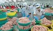 Việt Nam nằm trong nhóm nước có thuỷ sản xuất khẩu bị trả về