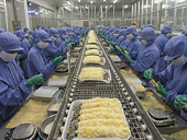 Xuất khẩu cá ngừ đông lạnh sang EU tăng 22%