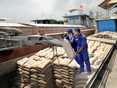 Xuất khẩu xi măng giảm nhẹ so với cùng kỳ năm ngoái