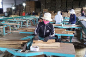 Cơ hội xây dựng thương hiệu gỗ Việt