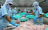 Tổng cục Tiêu chuẩn Đo lường chất lượng ra Công văn về Thông báo hồ sơ nhập khẩu thủy sản của Thái Lan