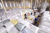 Đổi mới tư duy xuất khẩu gạo: trọng cung hay trọng cầu?
