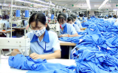 Vượt qua rào cản kỹ thuật để giữ thị trường EU