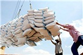 Gia hạn Bản Thỏa thuận thương mại gạo với Phi-líp-pin đến hết năm 2018