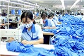 Cảnh báo về quy định ghi nhãn đối với hàng dệt may của Nhật Bản