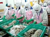Mỹ có tiếp tục áp thuế CBPG tôm Việt Nam?