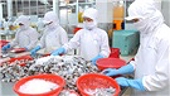 Úc nới lỏng lệnh cấm nhập khẩu tôm