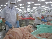 Đề nghị Mỹ công nhận tương đương cho cá tra Việt Nam