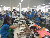 Ngành da giày tiếp tục tăng trưởng dù không có TPP
