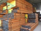 Thay đổi điều kiện nhập khẩu mặt hàng gỗ và các sản phẩm từ gỗ