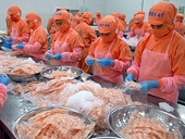 Kim ngạch xuất khẩu nông lâm thủy sản 4 tháng đạt hơn 10 tỷ USD