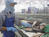 Quí 1-2017, Việt Nam xuất cá tra sang Trung Quốc nhiều nhất