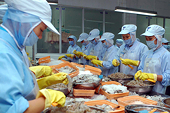 Xuất khẩu tôm sang Nhật Bản tăng mạnh
