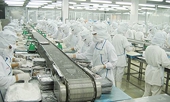 Nếu EVFTA chậm trễ, xuất khẩu cần nhìn dài hạn