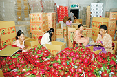 Xuất khẩu rau quả tăng trưởng mạnh