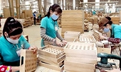 Xuất khẩu gỗ sang EU – tín hiệu khả quan