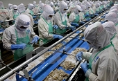 EU cảnh cáo thẻ vàng IUU đối với Hải sản Việt Nam 