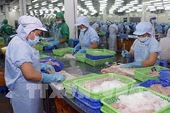 Trung Quốc lên tiếng về Luật chống bán phá giá mới của EU