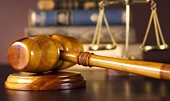 EU ban hành quy định mới về CBPG và chính thức công bố Báo cáo về sự bóp méo thị trường của nền kinh tế Trung Quốc trong điều tra CBPG