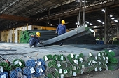 Hiệp hội Thép Việt Nam kiến nghị Chính phủ kiện Hoa Kỳ ra WTO