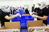 Xuất khẩu và dấu ấn nông nghiệp