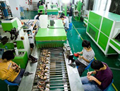 Xuất khẩu vào thị trường Hàn Quốc: Cửa mở nhưng vẫn khó khăn