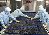 Doanh nghiệp chủ động ứng phó