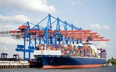 Thương mại Việt Nam - Ấn Độ tăng 42,95% trong 7 tháng đầu năm
