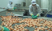 Xuất khẩu thủy sản tính chuyện “đường dài”