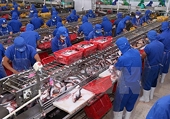 Khó khăn xuất khẩu cá tra ở các thị trường truyền thống