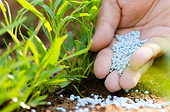 Áp thuế tự vệ với phân bón: Chỉ là giải pháp tình thế?