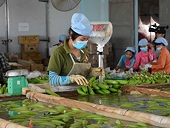 Mỹ giảm thuế, siết nhập khẩu: VN bị ảnh hưởng sao?
