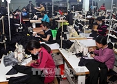 Xuất khẩu Việt Nam sang Mỹ sẽ bị tác động mạnh bởi chính sách cải cách thuế mới