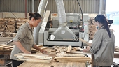 Ngành gỗ đặt mục tiêu xuất khẩu 10 tỷ USD, tiêu thụ nội địa 4 tỷ USD
