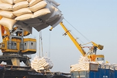 Chủ động nắm bắt cơ hội từ CPTPP