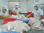 Mỹ áp mức thuế cao khủng khiếp lên cá tra Việt Nam