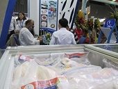 DOC áp thuế vô lý với cá tra Việt Nam: Đi ngược tiến trình tự do thương mại