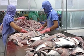 Việt Nam có thể khởi kiện Mỹ áp thuế cá tra quá mức?