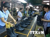Ngành da giày Việt Nam rộng cửa phát triển