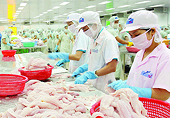 Mỹ áp thuế bán phá giá cá tra: Cửa nào cho doanh nghiệp nội địa?