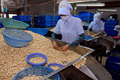 Kinh tế Việt Nam với CPTPP: Nâng cao năng lực cạnh tranh nhìn từ nông nghiệp