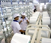 Doanh nghiệp xơ, sợi thiệt vì thuế chống bán phá giá