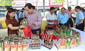 Đằng sau con số xuất khẩu kỷ lục - Xúc tiến xuất khẩu đã ít còn dàn trải